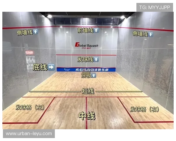 出界规则：判定标准与界外球发球权的常见误区